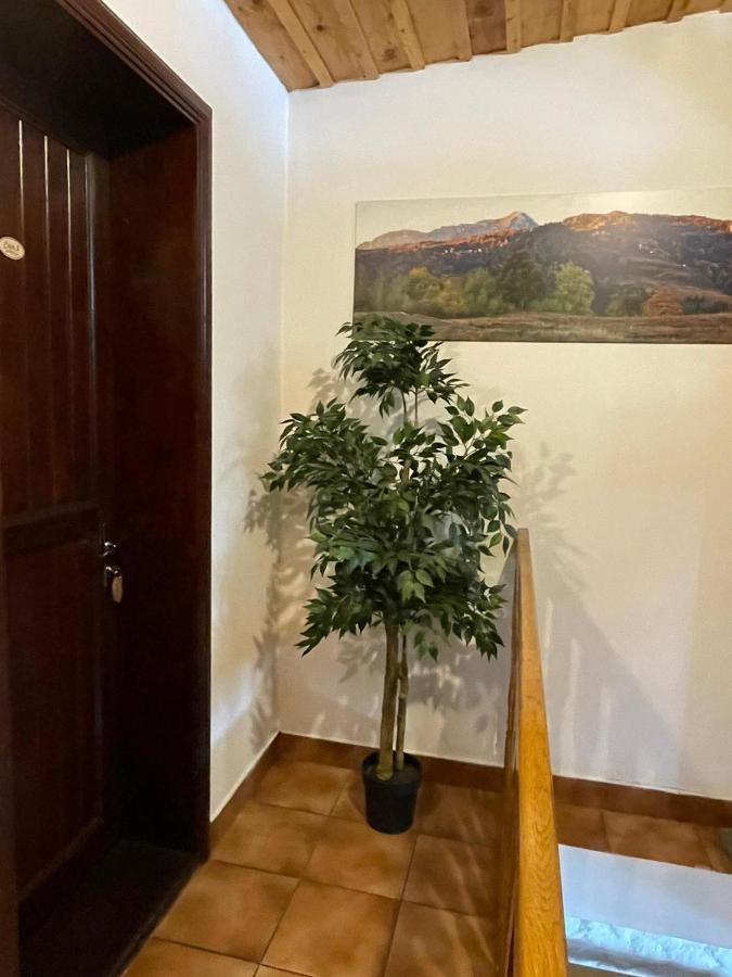Vila Sofia Predeal Bagian luar foto