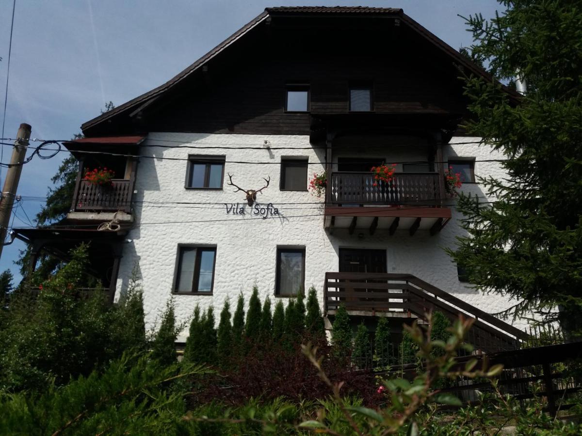 Vila Sofia Predeal Bagian luar foto